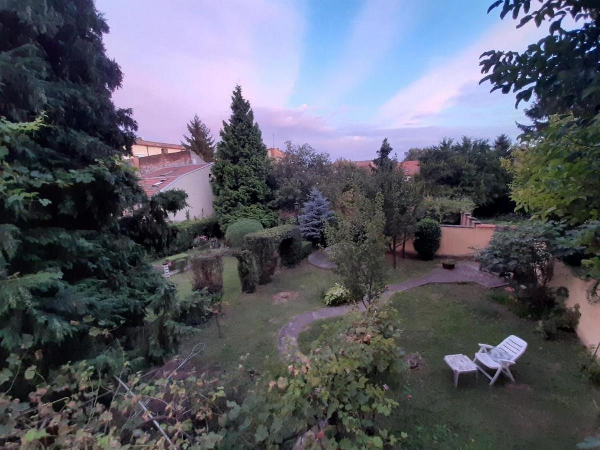 Cocic Garden Lejlighed Osijek Eksteriør billede