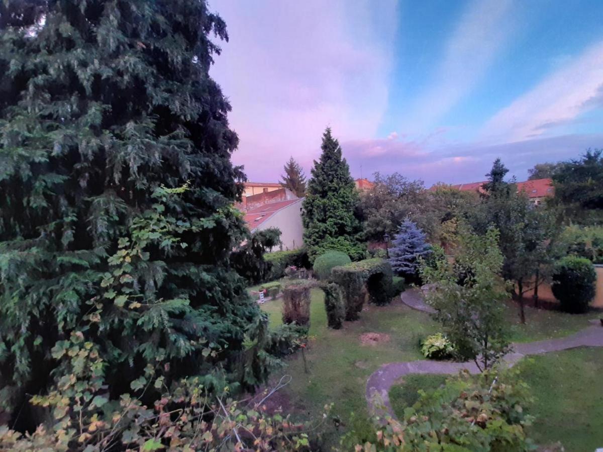 Cocic Garden Lejlighed Osijek Eksteriør billede